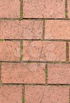 Background of brick floor, stone blocks.