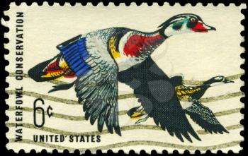 Royalty Free Photo of 1968 US Stamp Shows the Wood Ducks, Waterfowl Conservation
