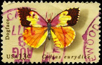 Royalty Free Photo of 1977 US Stamp Shows the Dogface, Butterfly