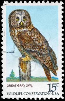 Royalty Free Photo of 1978 US Stamp Shows the Great Grey Owl, Wildlife Conservation
