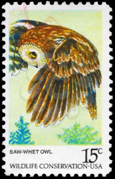 Royalty Free Photo of 1978 US Stamp Shows the Saw-Whet Owl, Wildlife Conservation