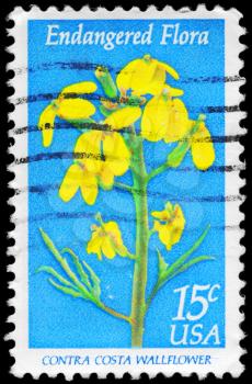 Royalty Free Photo of 1979 US Stamp Shows the Contra Costa Wallflower, Endangered Flora