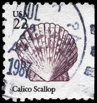 Royalty Free Photo of 1985 US Stamp Shows the Calico Scallop, Seashells