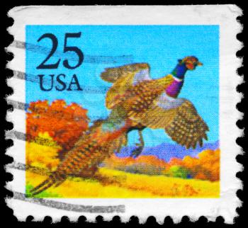 Royalty Free Photo of 1988 US Stamp Shows a Pheasant