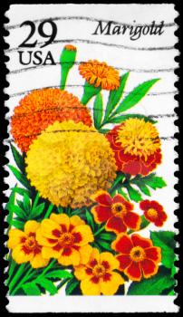 Royalty Free Photo of 1994 US Stamp Shows the Marigold, Garden Flowers