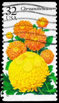Royalty Free Photo of 1995 US Stamp Shows the Chrysanthemum, Garden Flowers