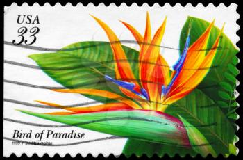 Royalty Free Photo of 1999 US Bird Shows the Bird of Paradise Flower (Strelitzia Reginae), Tropical Flowers