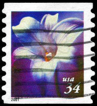 Royalty Free Photo of 2000 US Stamp Shows the Lily