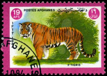 AFGHANISTAN - CIRCA 1984: A Stamp shows image of a Tiger with the inscription 
P.Tigris, series, circa 1984