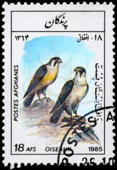 AFGHANISTAN - CIRCA 1985: A Stamp shows image of a Falcons from the series Birds, circa 1985