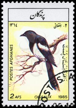 AFGHANISTAN - CIRCA 1985: A Stamp shows image of a Jay from the series Birds, circa 1985