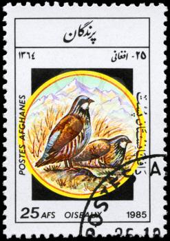 AFGHANISTAN - CIRCA 1985: A Stamp shows image of a Partridges from the series Birds, circa 1985
