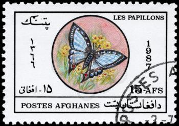 AFGHANISTAN - CIRCA 1987: A Stamp printed in AFGHANISTAN shows image of a Butterfly, series, circa 1987
