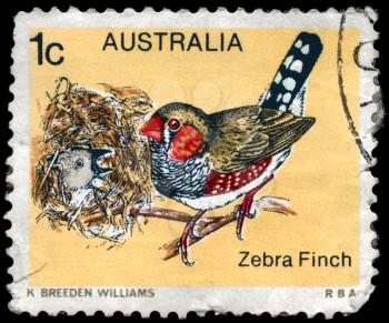 AUSTRALIA - CIRCA 1979: A Stamp shows image of a Zebra Finch from the series Australian birds, circa 1979