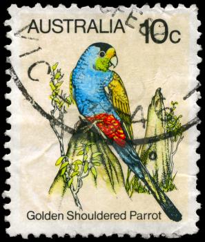 AUSTRALIA - CIRCA 1980: A Stamp shows image of a Golden shouldered Parrot from the series Australian birds, circa 1980