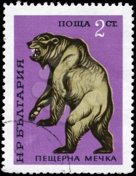 BULGARIA - CIRCA 1971: A Stamp printed in BULGARIA shows image of a Bear from the series Prehistoric Animals, circa 1971
