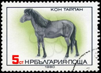 BULGARIA - CIRCA 1980: A Stamp shows image of a Tarpan Horse, circa 1980