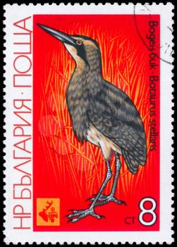 BULGARIA - CIRCA 1981: A Stamp shows image of a Great Bittern with the inscription Botaurus stellaris from the series EXPO'81, Plovdiv, circa 1981