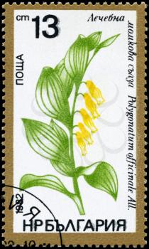 BULGARIA - CIRCA 1982: A Stamp shows image of a Solomon's seal with the designation Polygonatum officinale All., series, circa 1982
