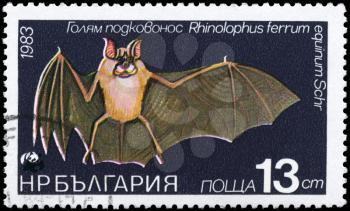 BULGARIA - CIRCA 1983: A Stamp printed in BULGARIA shows image of a Horseshoe Bat with the description Rhinolophus ferrum from the series Various bats and rodents, circa 1983