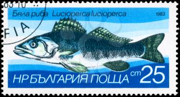 BULGARIA - CIRCA 1983: A Stamp printed in BULGARIA shows image of a Zander with the description Lucioperca lucioperca from the series Fresh-water Fish, circa 1983