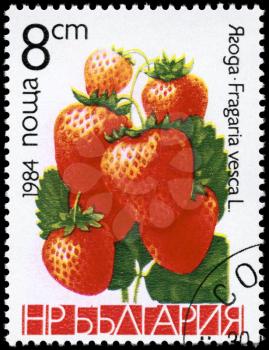 BULGARIA - CIRCA 1984: A Stamp printed in BULGARIA shows image of a Strawberries Fragaria vesca, from the series Berries, circa 1984