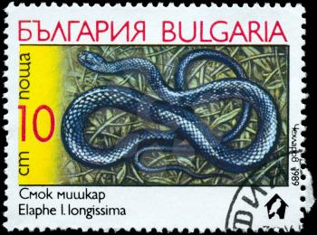 BULGARIA - CIRCA 1989: A Stamp printed in BULGARIA shows the image of a Aesculapian Snake with the description Elaphe longissima from the series Snakes, circa 1989
