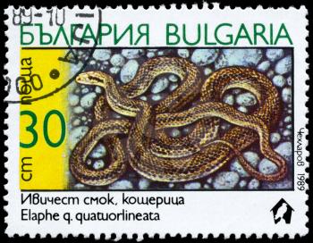 BULGARIA - CIRCA 1989: A Stamp printed in BULGARIA shows the image of a Four-lined Snake with the description Elaphe quatuorlineata from the series Snakes, circa 1989