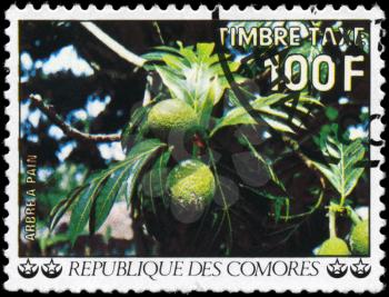 COMOROS - CIRCA 1977: A Stamp printed in COMOROS shows the image of a Breadfruit, series, circa 1977
