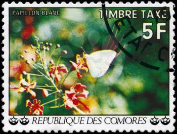 COMOROS - CIRCA 1977: A Stamp printed in COMOROS shows the image of a White Butterfly, series, circa 1977