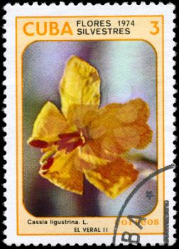 CUBA - CIRCA 1974: A Stamp printed in CUBA shows image of a Cassia ligustrina, from the series Wildflowers, circa 1974