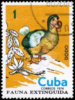 CUBA - CIRCA 1974: A Stamp printed in CUBA shows image of a Dodo from the series Extinct Birds, circa 1974