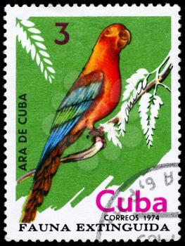 CUBA - CIRCA 1974: A Stamp printed in CUBA shows image of a Cuban Red Macaw from the series Extinct Birds, circa 1974