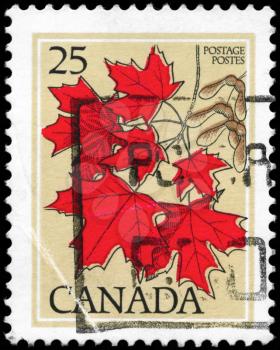 CANADA - CIRCA 1977: A Stamp printed in CANADA shows the Maple leaves, series, circa 1977