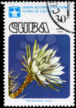 CUBA - CIRCA 1978: A Stamp printed in CUBA shows image of a Harrisia taetra, from the series Cactus Flowers, circa 1978