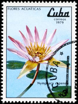 CUBA - CIRCA 1979: A Stamp shows image of a Nymphaea with the inscription Nymphaca capensis, from the series aquatic flowers, circa 1979