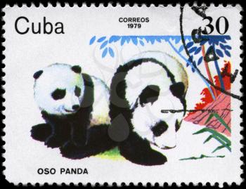 CUBA - CIRCA 1979: A Stamp printed in CUBA shows image of a young Pandas from the series Zoo Animals, circa 1979