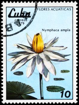 CUBA - CIRCA 1979: A Stamp shows image of a White Lotus with the inscription 
Nymphaca ampla, from the series aquatic flowers, circa 1979