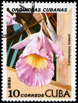 CUBA - CIRCA 1980: A Stamp shows image of a Cattleyopsis with the inscription Cattleyopsis lindenii, from the series Cuban Orchids, circa 1980