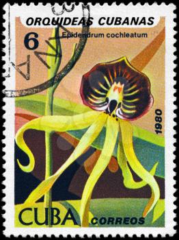 CUBA - CIRCA 1980: A Stamp shows image of a Epidendrum with the inscription Epidendrum cochleatum, from the series Cuban Orchids, circa 1980