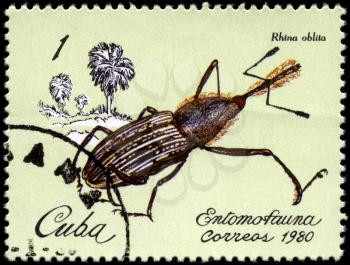 CUBA - CIRCA 1980: A Stamp printed in CUBA shows the image of a Weevil with the description Rhina oblita from the series Insects, circa 1980