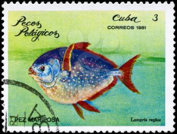 CUBA - CIRCA 1981: A Stamp printed in CUBA shows image of a Glancefish with the inscription Lampris regius from the series Pelagic Fish, circa 1981