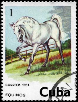 CUBA - CIRCA 1981: A Stamp printed in CUBA shows the image of the Horse, value 1c, series, circa 1981