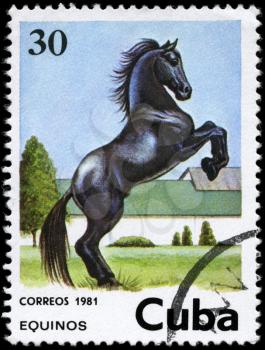 CUBA - CIRCA 1981: A Stamp printed in CUBA shows the image of the Horse, value 30c, series, circa 1981