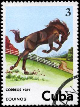 CUBA - CIRCA 1981: A Stamp printed in CUBA shows the image of the Horse, value 3c, series, circa 1981