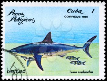 CUBA - CIRCA 1981: A Stamp printed in CUBA shows image of a Shark with the inscription Isurus oxyrhynchus from the series Pelagic Fish, circa 1981