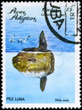 CUBA - CIRCA 1981: A Stamp printed in CUBA shows image of a Ocean Sunfish with the inscription Mola mola from the series Pelagic Fish, circa 1981
