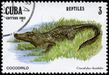 CUBA - CIRCA 1982: A Stamp printed in CUBA shows the image of a Crocodile with the description Crocodylus rhombifer from the series Reptiles, circa 1982