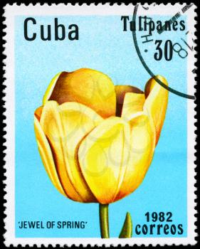 CUBA - CIRCA 1982: A Stamp shows image of a Tulip with the inscription Jewel of Spring, from the series Tulips, circa 1982