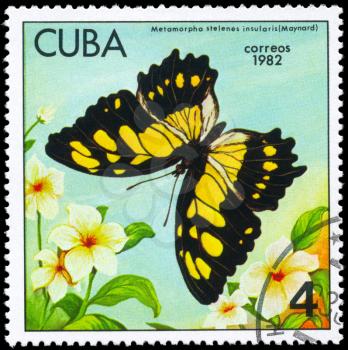 CUBA - CIRCA 1982: A Stamp printed in CUBA shows image of a Butterfly with the description Metamorpha stelenes insularis, series, circa 1982
